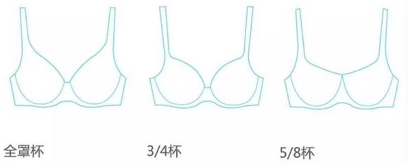 60秒穿對內衣:胸大怎么穿顯瘦,胸小怎么穿性感?