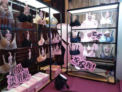 優秀內衣品牌爭艷|內衣視界財智峰會 云南站 品牌展示