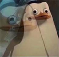 背背佳、婷美內衣、腦白金,那些曾紅極一時的產品如今去哪了