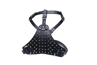 帶狼牙釘寵物胸背 義烏眾美寵物用品廠的創(chuàng)新設計與市場前景