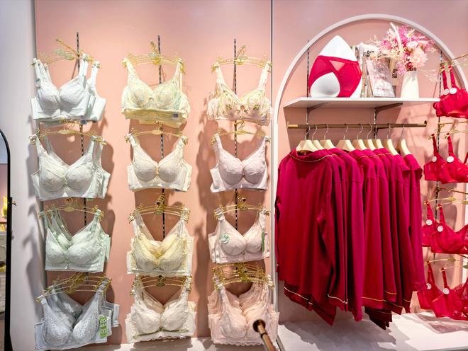 芭妮雅植物內(nèi)衣 全品類 + 高盈利，開(kāi)啟創(chuàng)業(yè)新方向